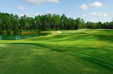 Golf Course Green
