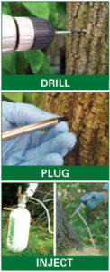 drill-plug-inject