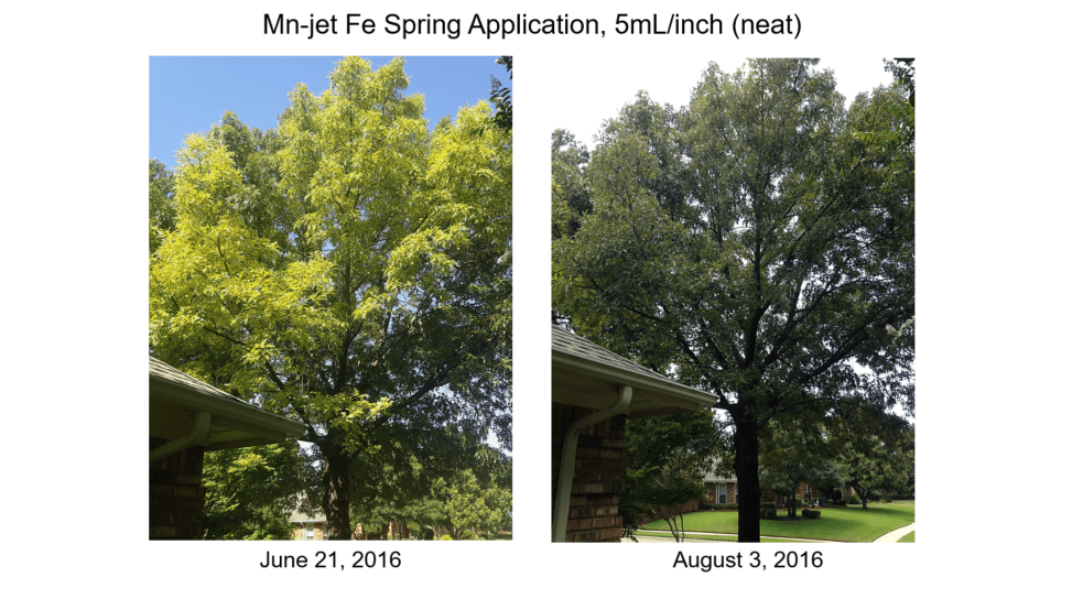 Mn-jet Fe Treatment 1