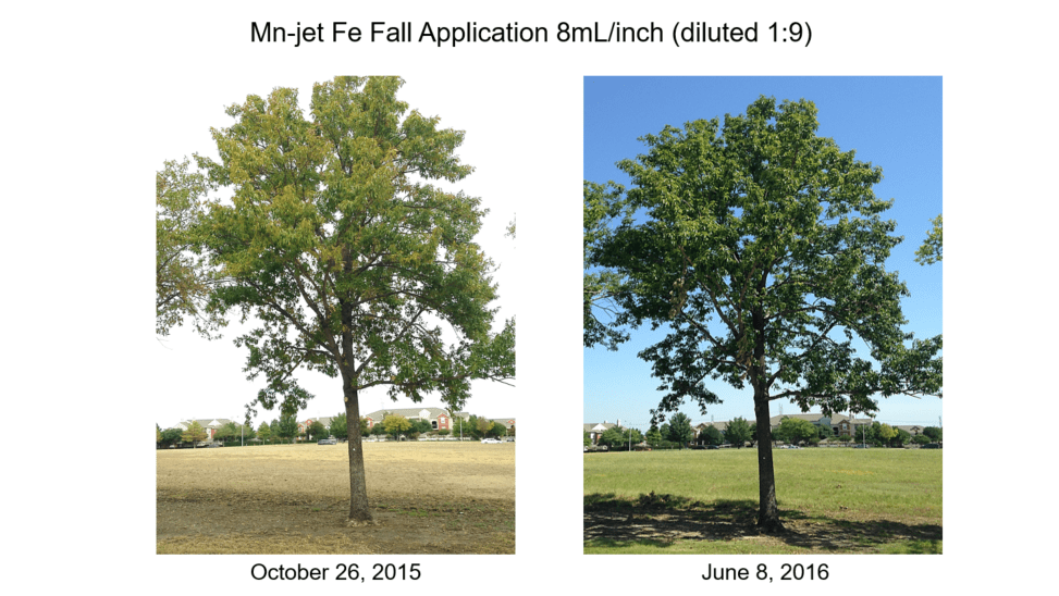 Mn-jet Fe Treatment 7