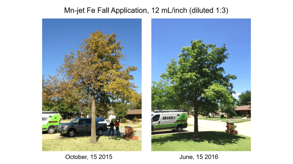 Mn-jet Fe Treatment 9