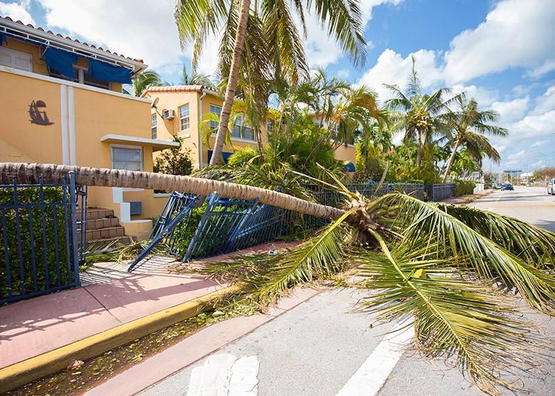 hurricanes recovery