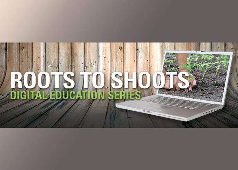 Roots to Shoots