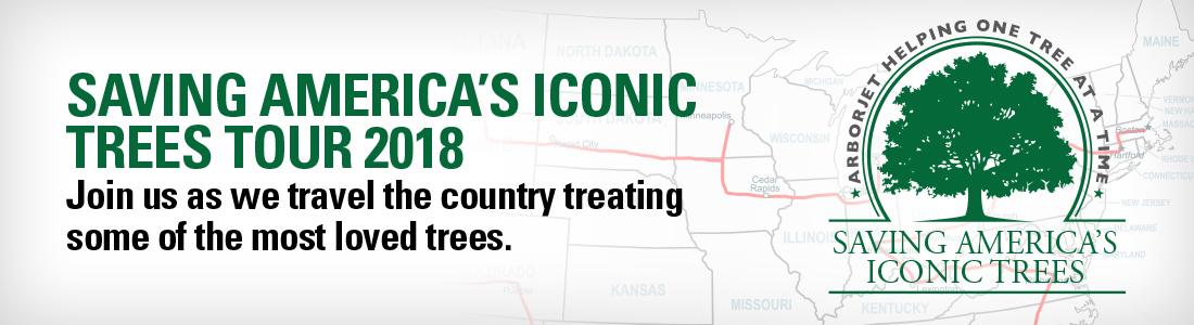 Iconic Trees Banner