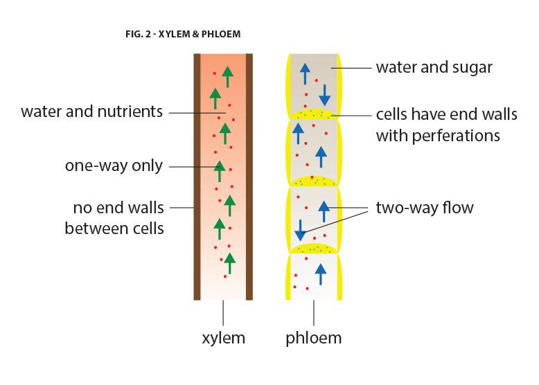 Water Management Figure 2