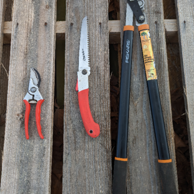 From left, some basic pruning tools: hand pruners, hand saw and loppers after a day of pruning.