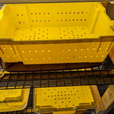 Plastic lugs set on a tray