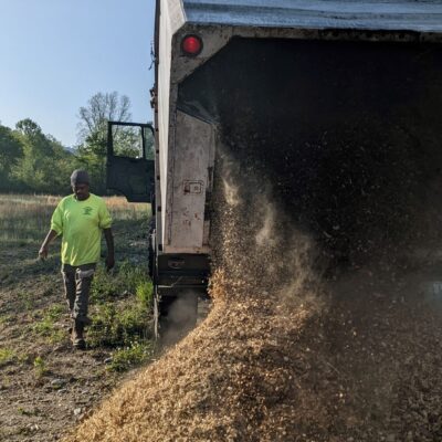 Woodchip delivery (carbon source)