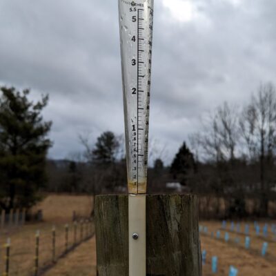 Rain gauge