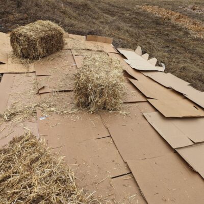 Cardboard weed barrier