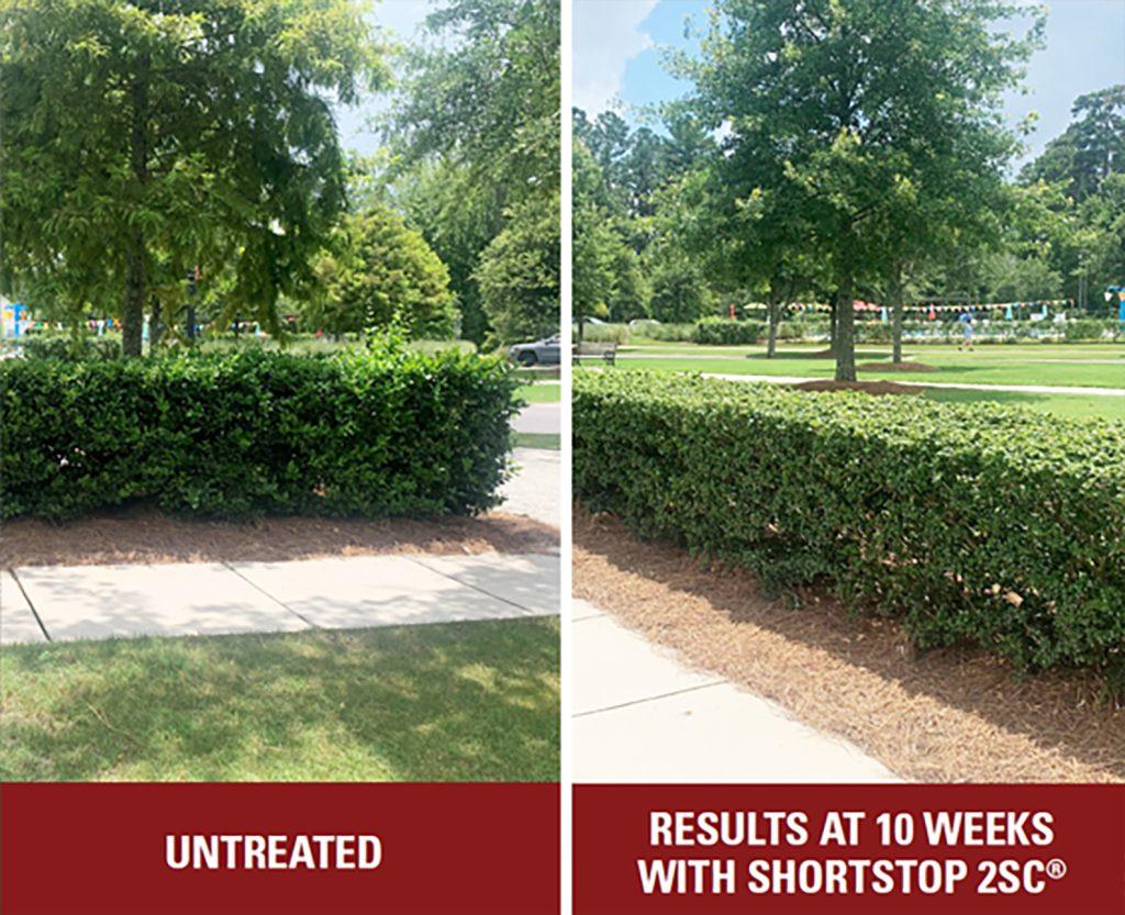 Top 5 Plant Healthcare Products for Spring - Arborjet | Ecologel