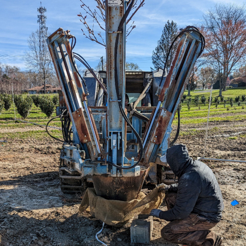 A machine dug tree