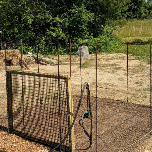 Garden fence