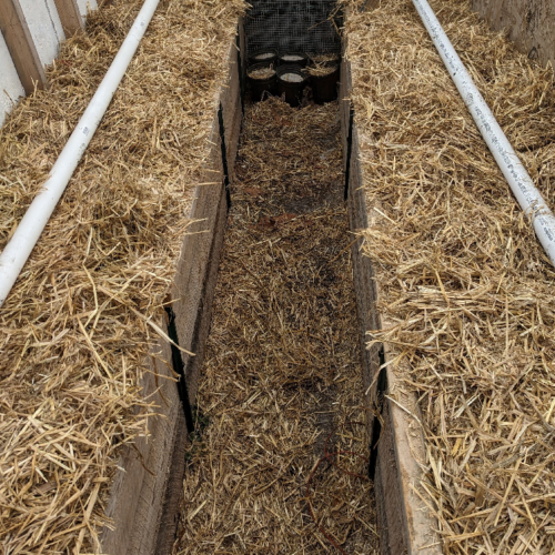 Straw bale garden