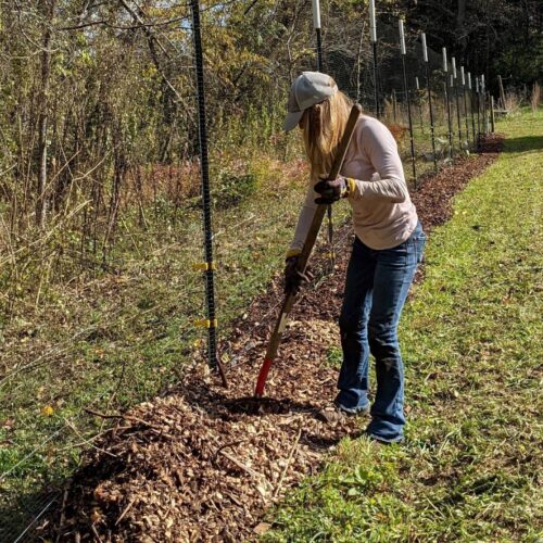 Fig. 8a mulching the fence line to keep weeds down