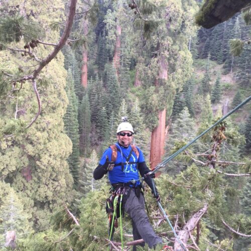 Jason Kappen on a limb in the Waterfall Tree