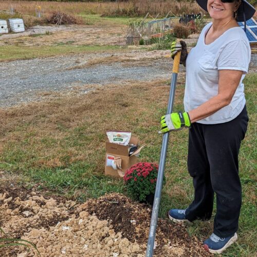 Spreading compost with a rake