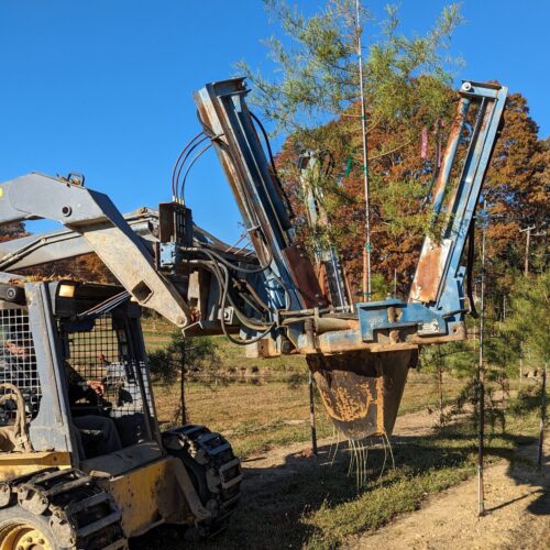 Hydraulic spade digging a bald cypress