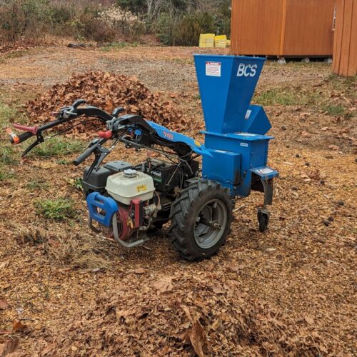 Shredded leaves: making leaf mold