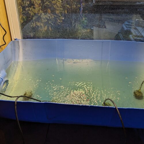 Hydroponics tank