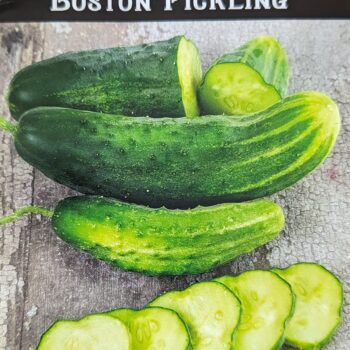 Fig. 10 Cucumber Boston Pickling