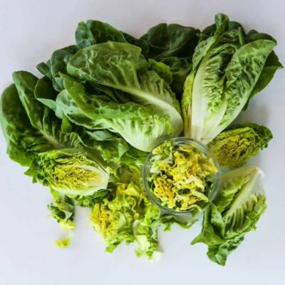 Buttercrunch Lettuce