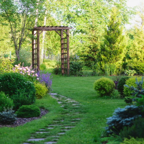 The woodland garden