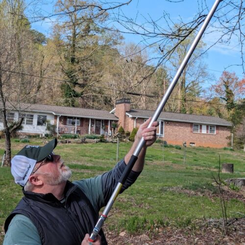 Joe Aiken taking branch samples