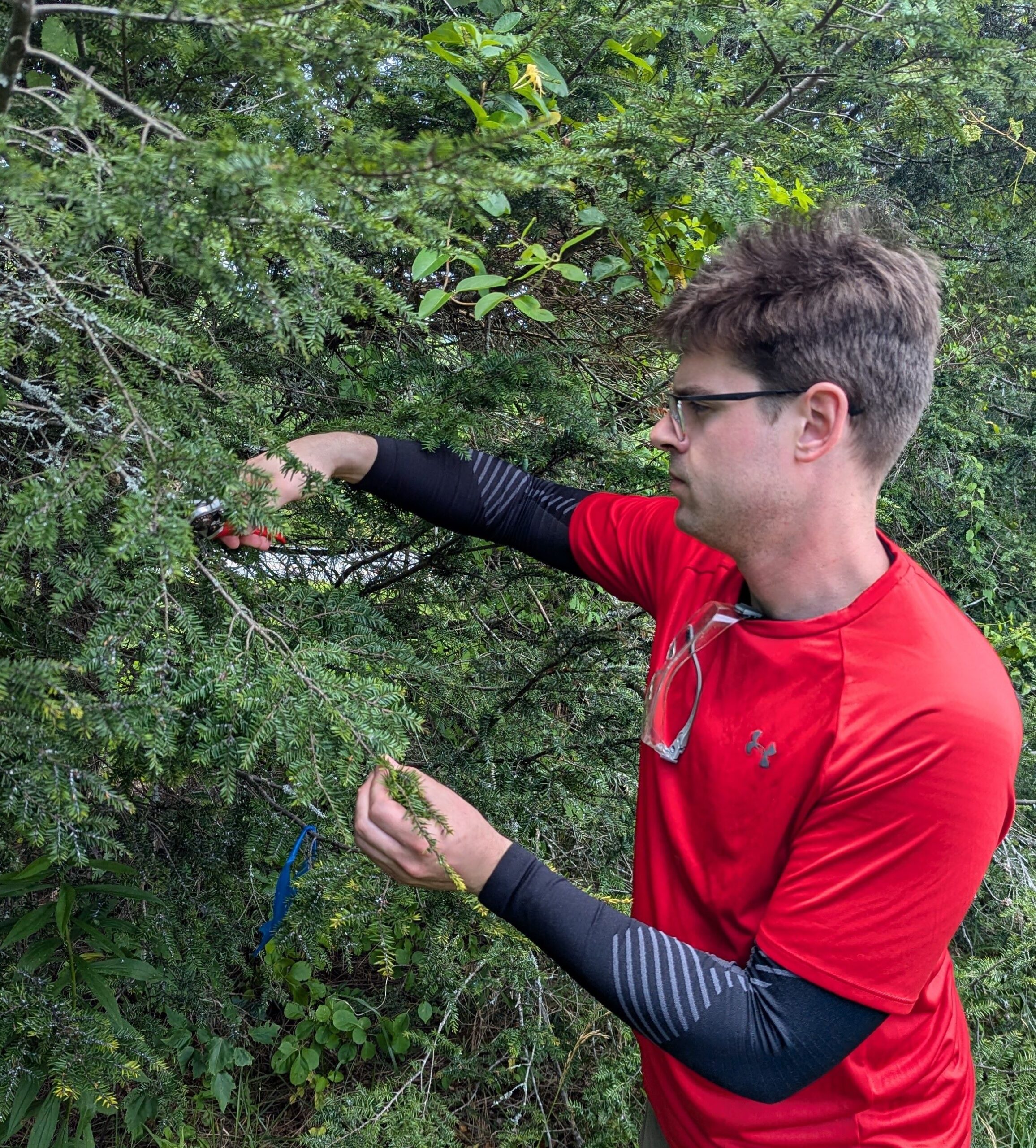 Joe's Journal, Summer Edition The Research Scientist Ventures Afield