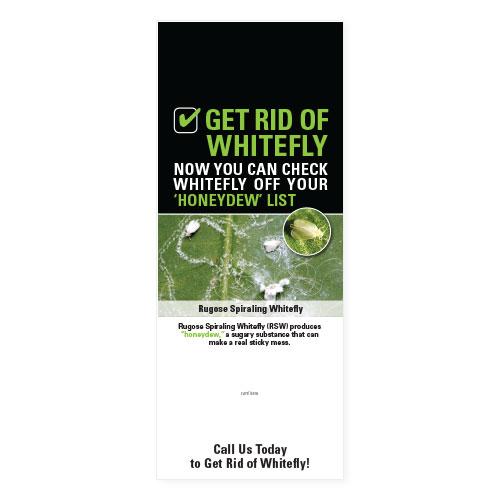 Marketing Materials