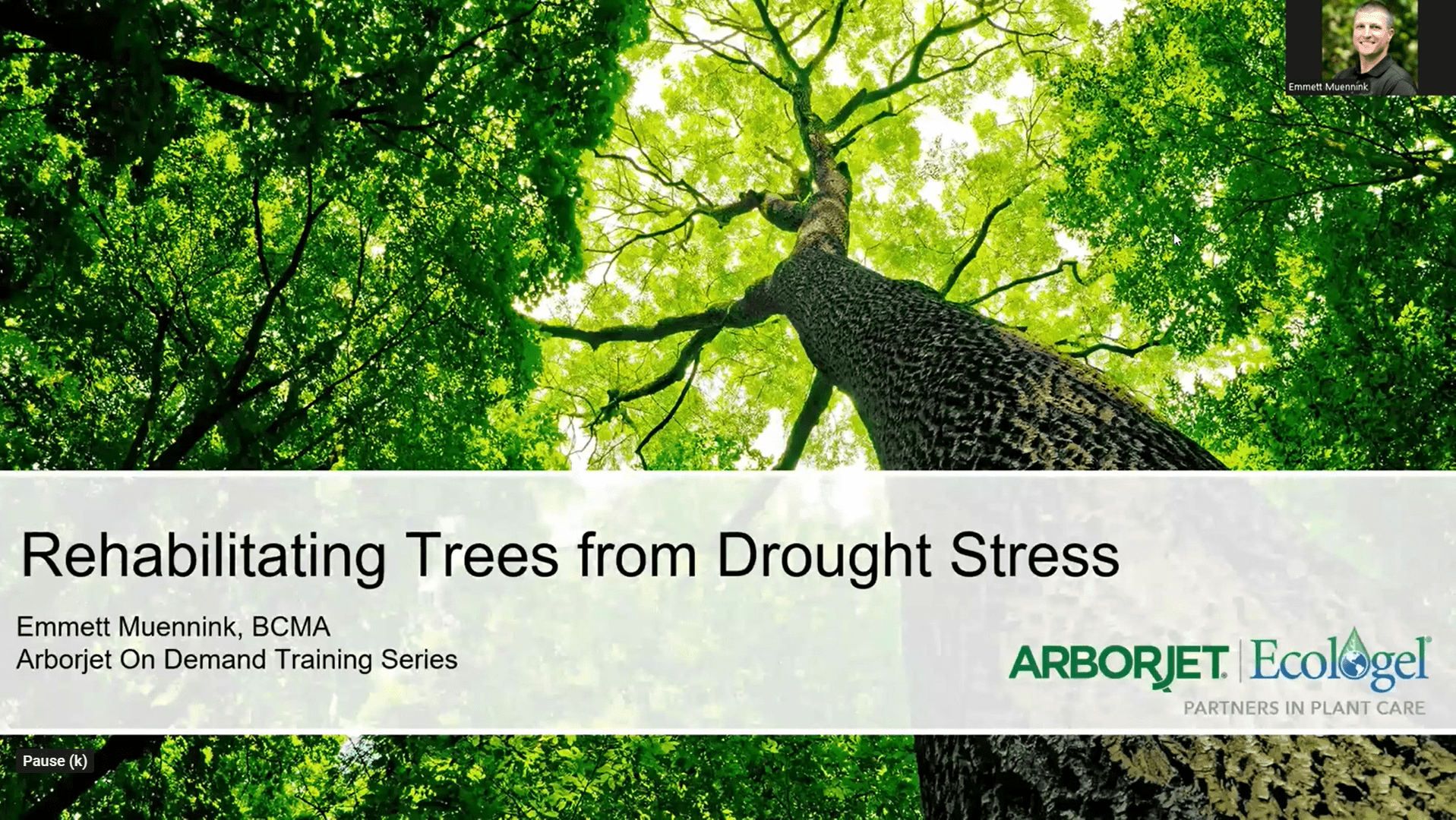 On-Demand Webinar – Rehabilitating Trees from Drought Stress