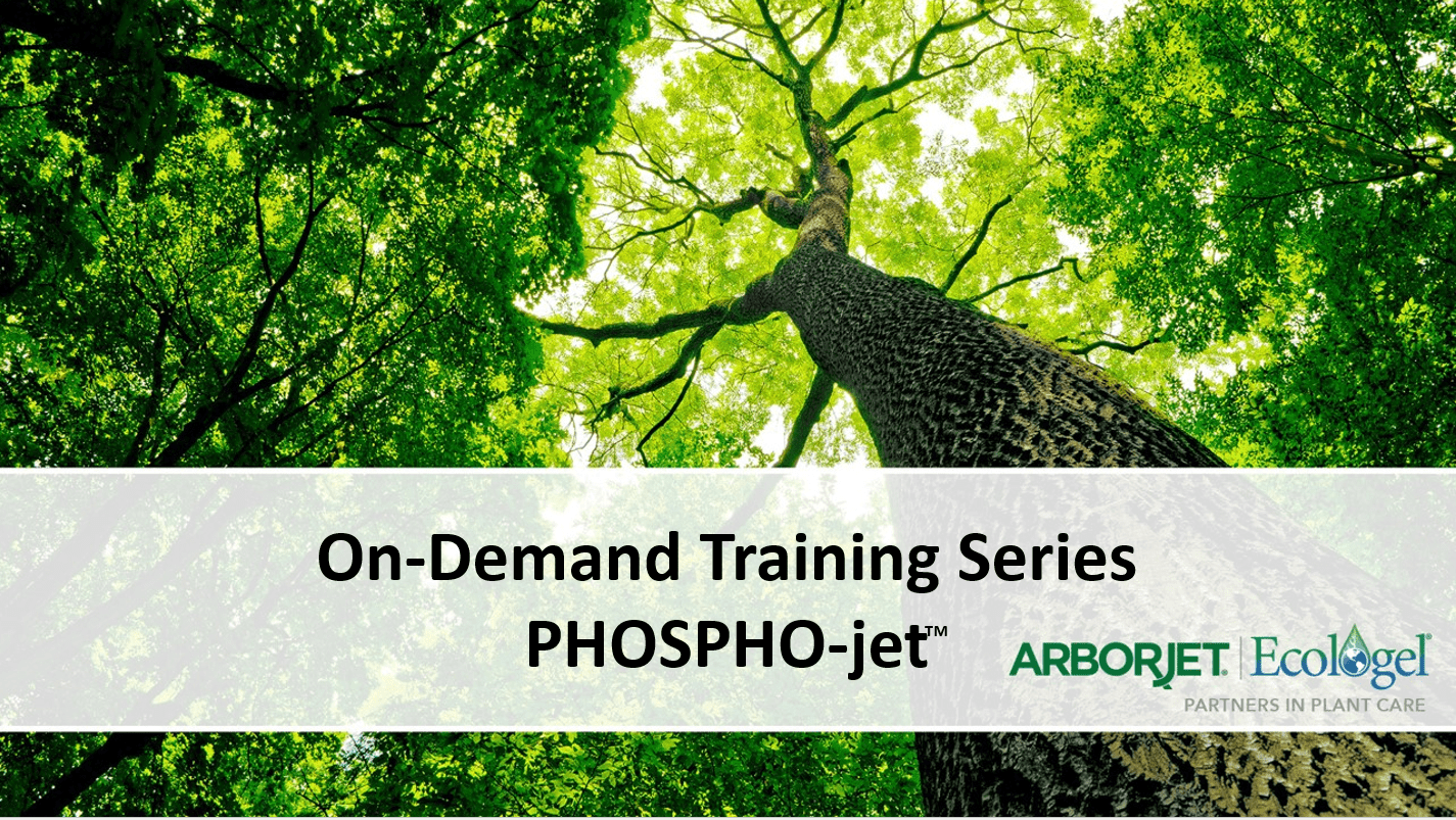 On-Demand Webinar – PHOSPHO-jet