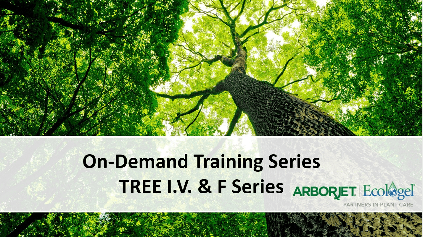 On-Demand Webinar – TREE I.V. and FSeries (CORE)