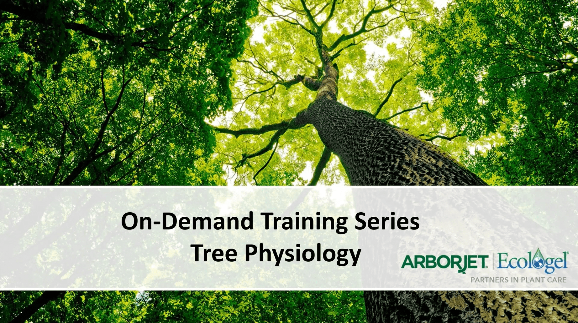 On-Demand Webinar – Tree Physiology (CORE)