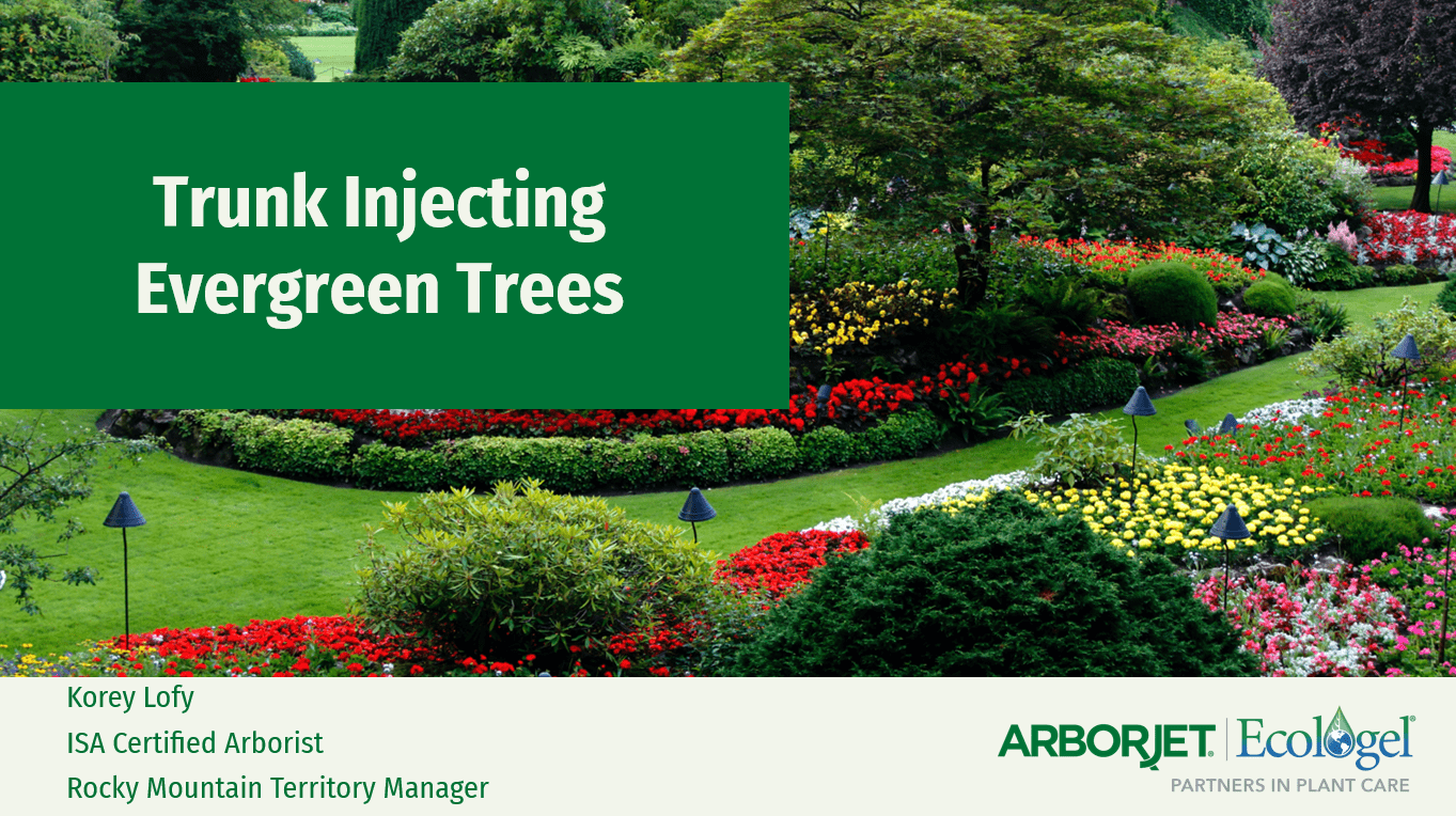 On-Demand Webinar – Trunk Injecting Evergreens